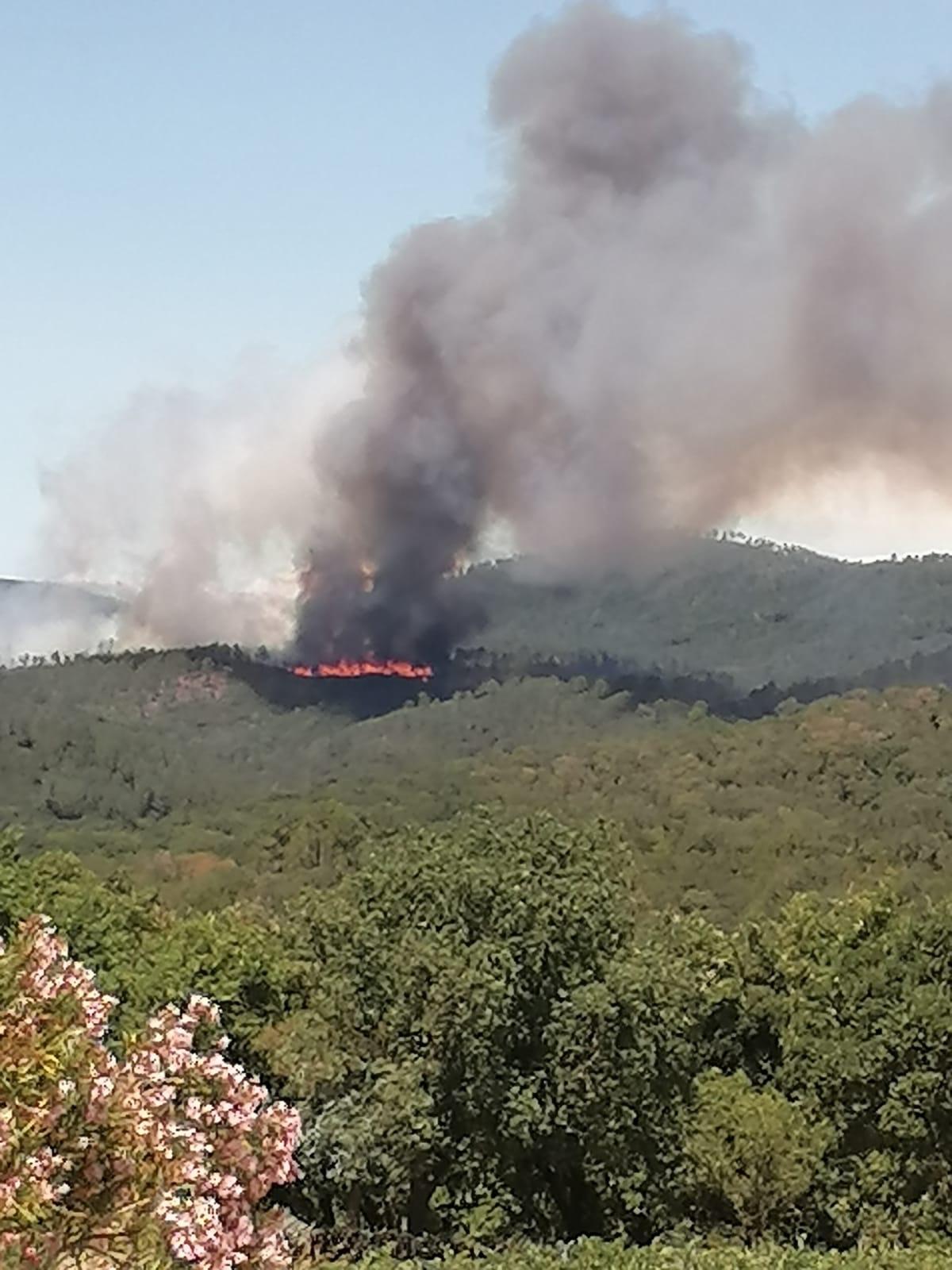 Brucia un bosco a Civitella Paganico, due elicotteri regionali in azione